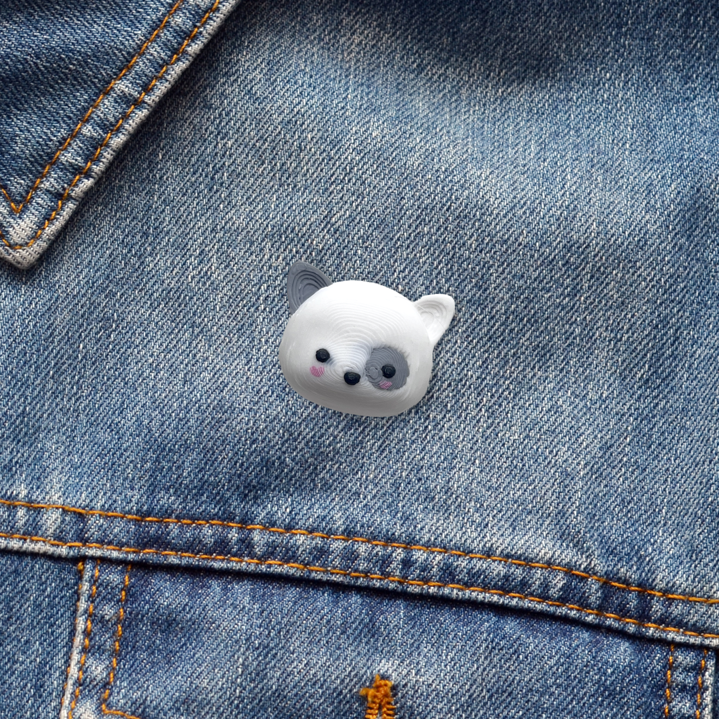 pin gato