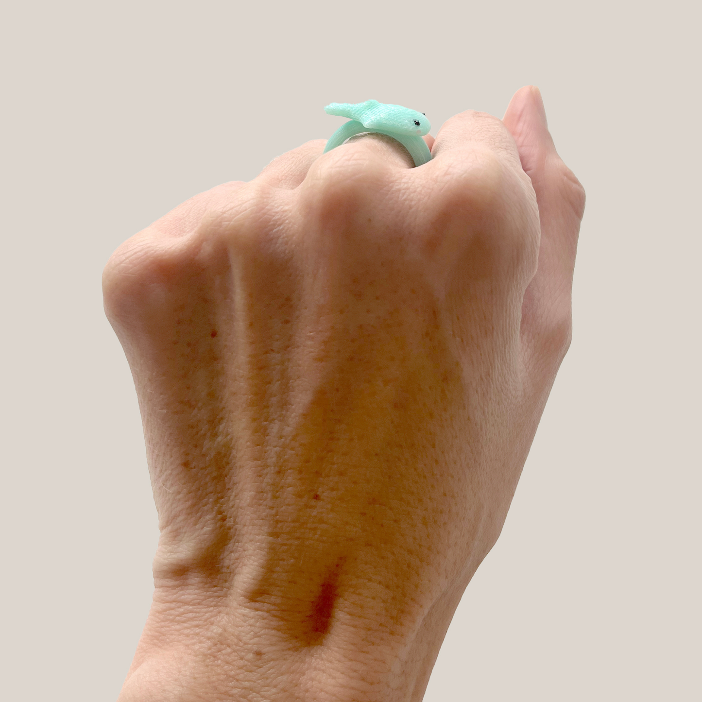 anillo tiburón ballena