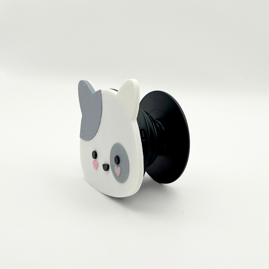 pop gato
