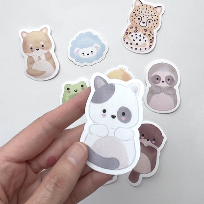 pack de stickers sorpresa