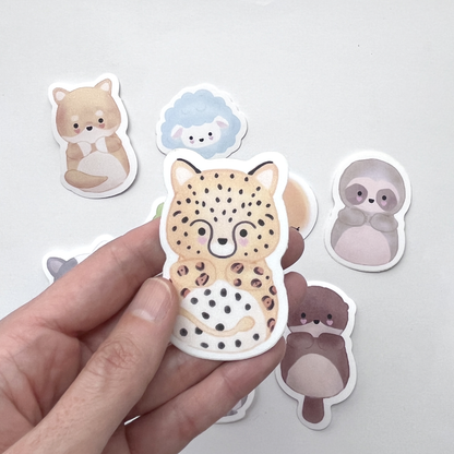 pack de stickers sorpresa