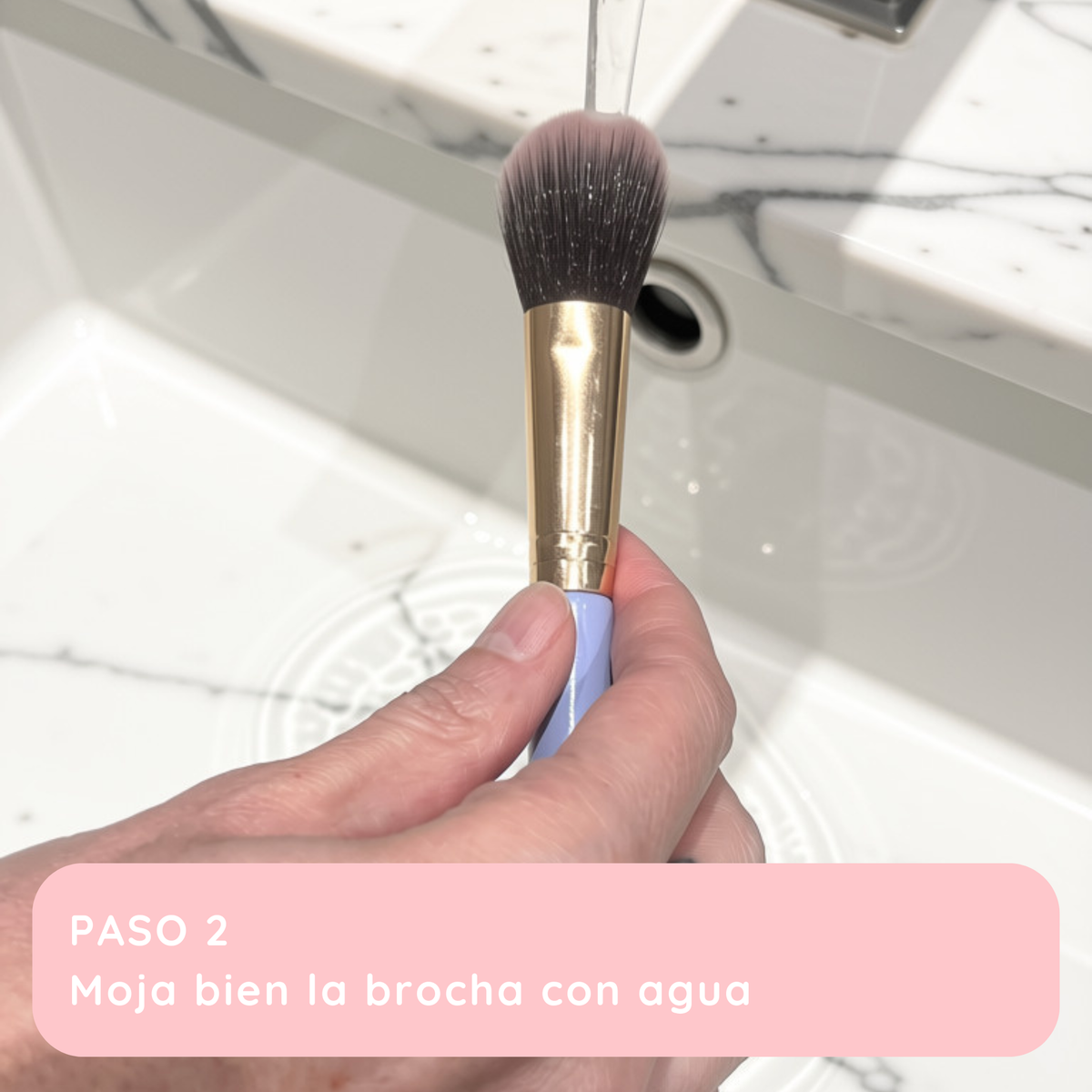 bandejita limpia brochas bina (puercoespín)
