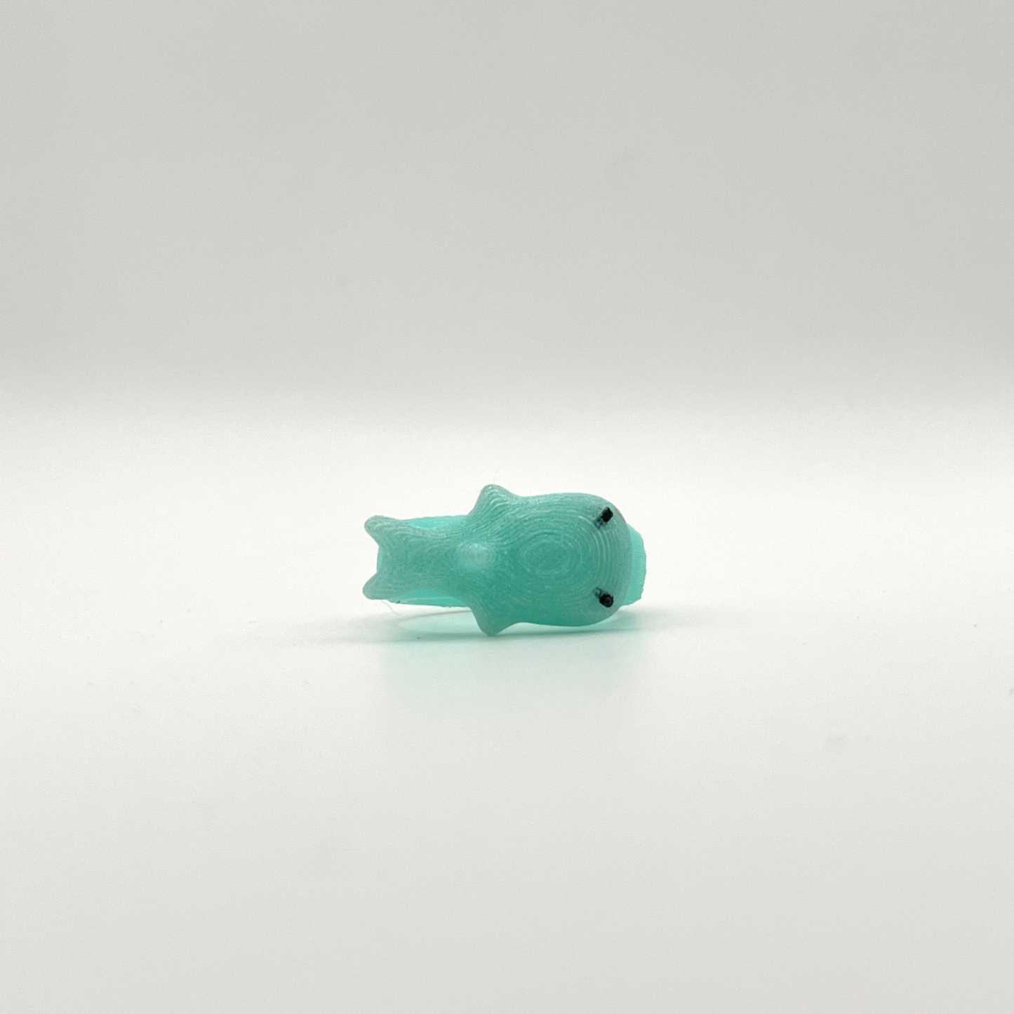 anillo tiburón ballena