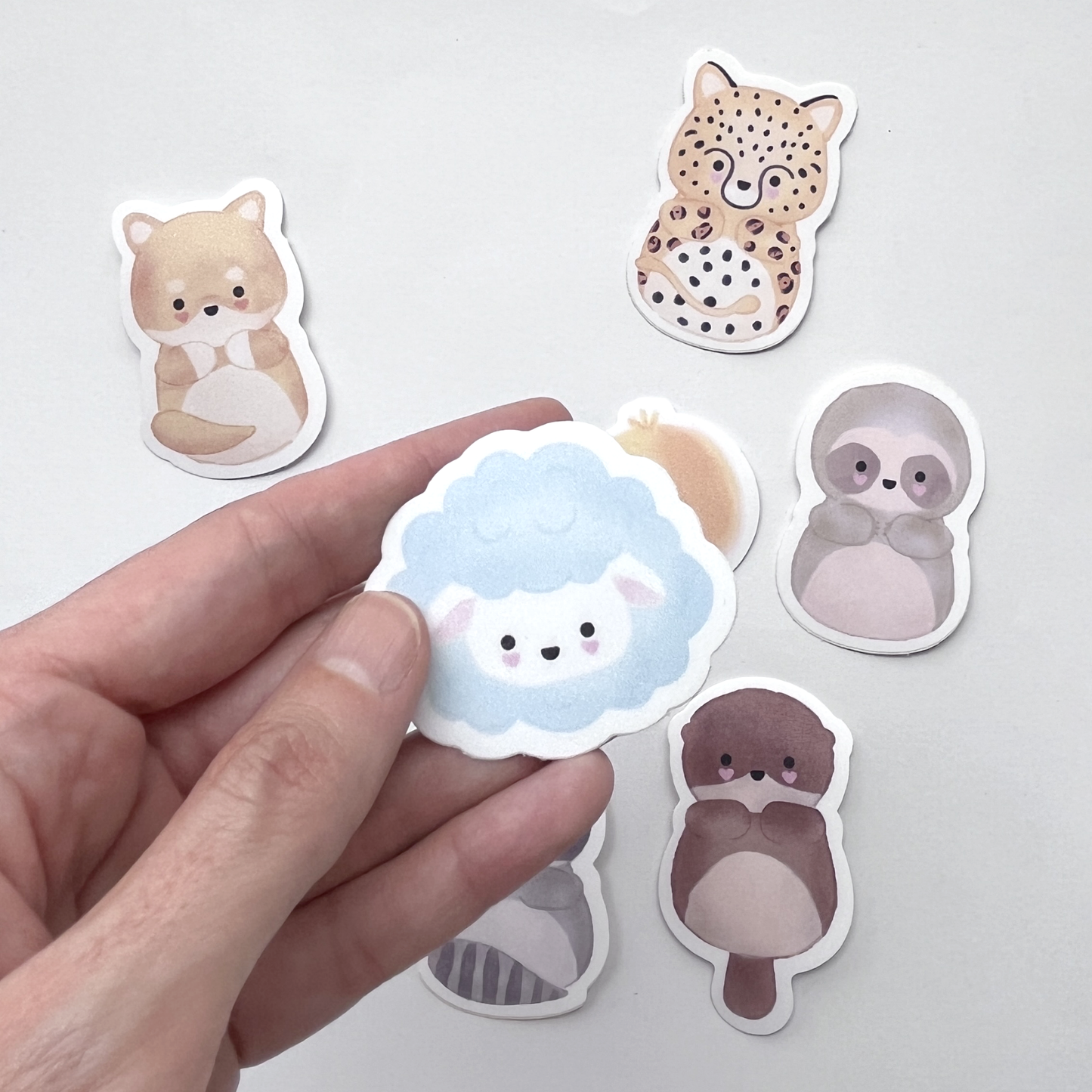 pack de stickers sorpresa