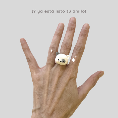 arma tu anillo