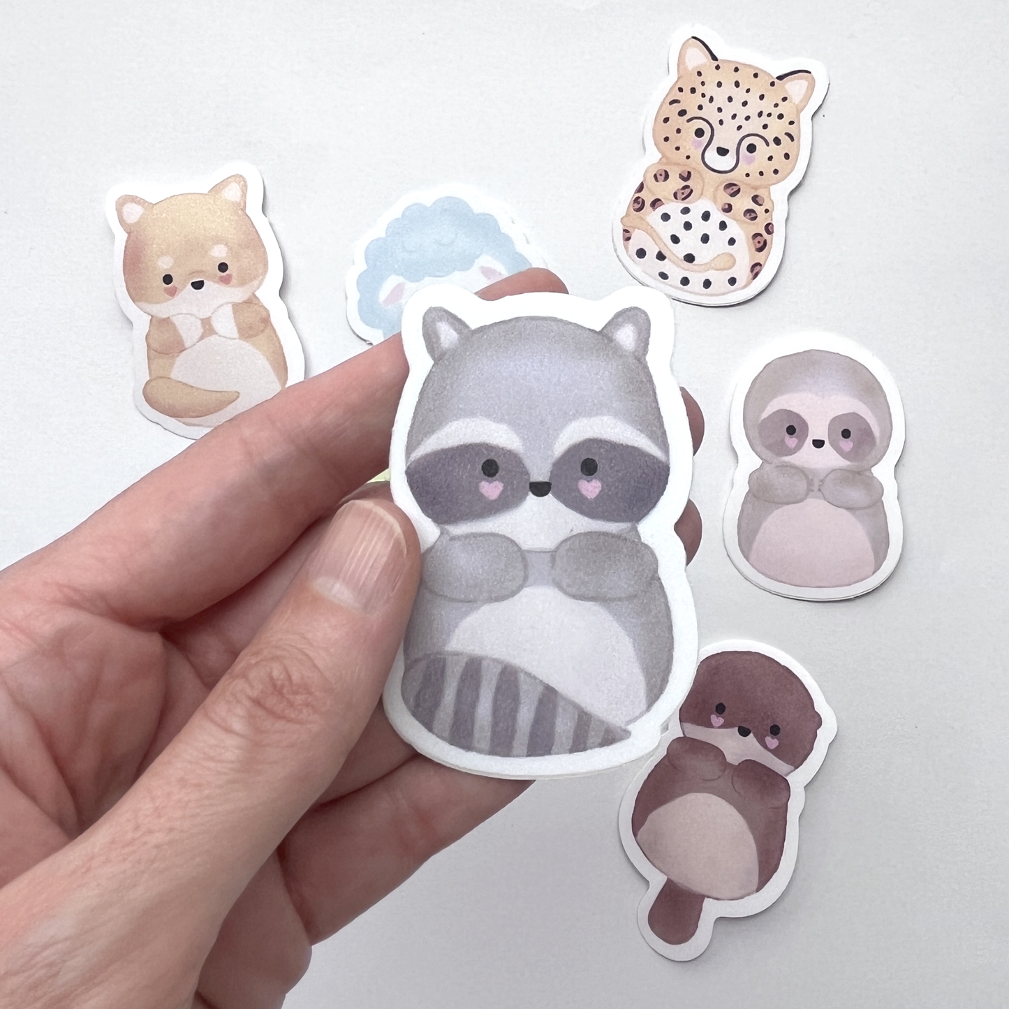 pack de stickers sorpresa