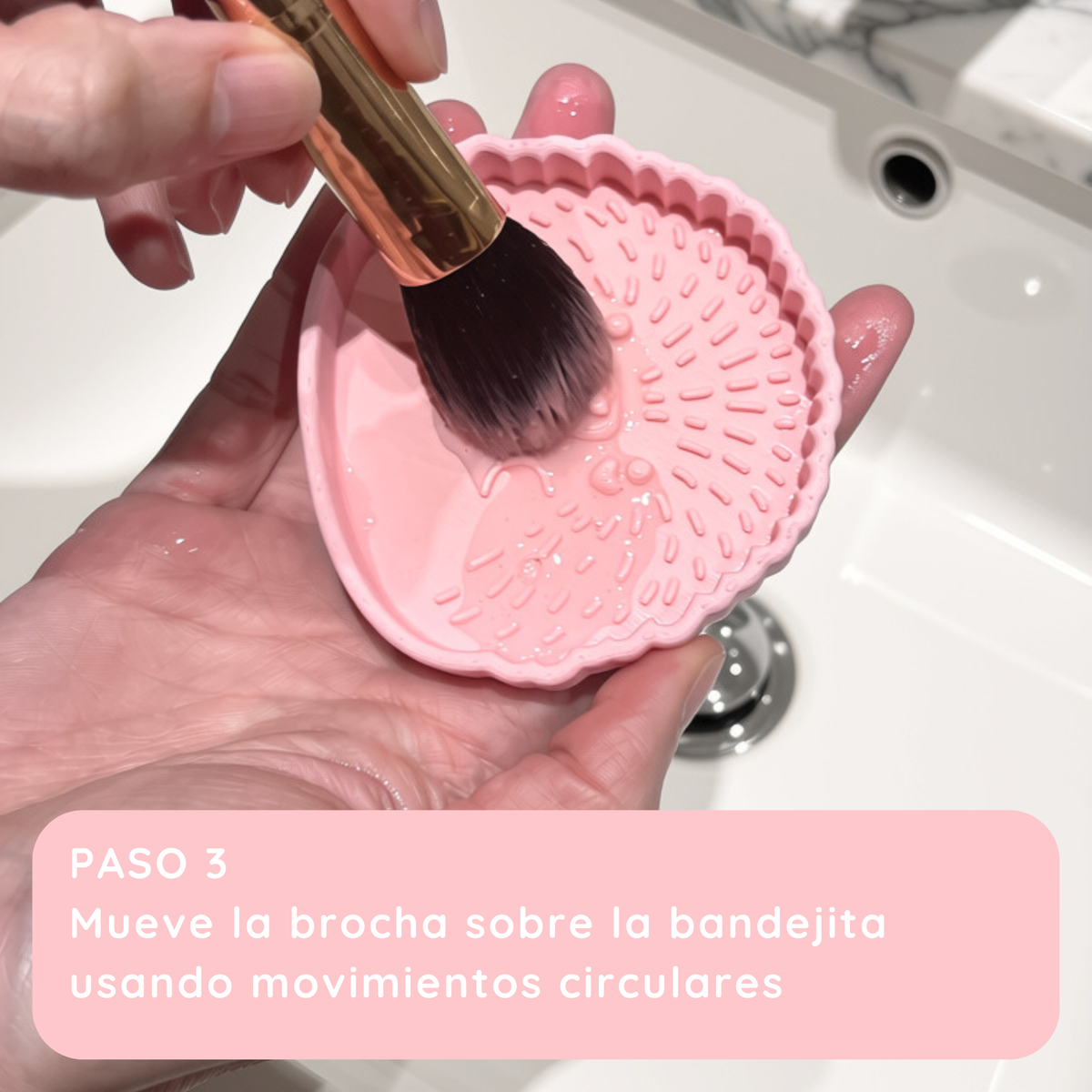 bandejita limpia brochas bina (puercoespín)