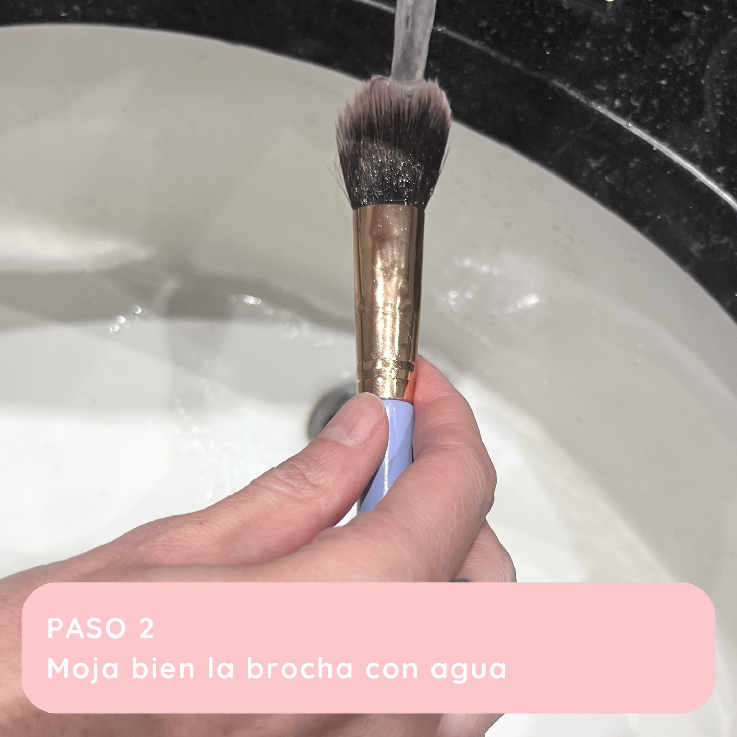bandejita limpia brochas bina (puercoespín)