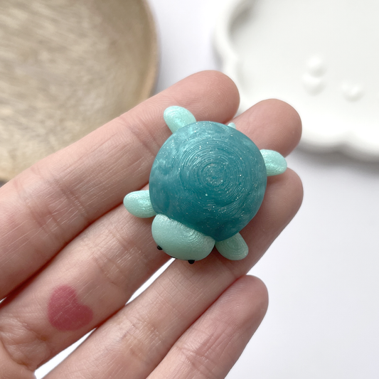 pin tortuga