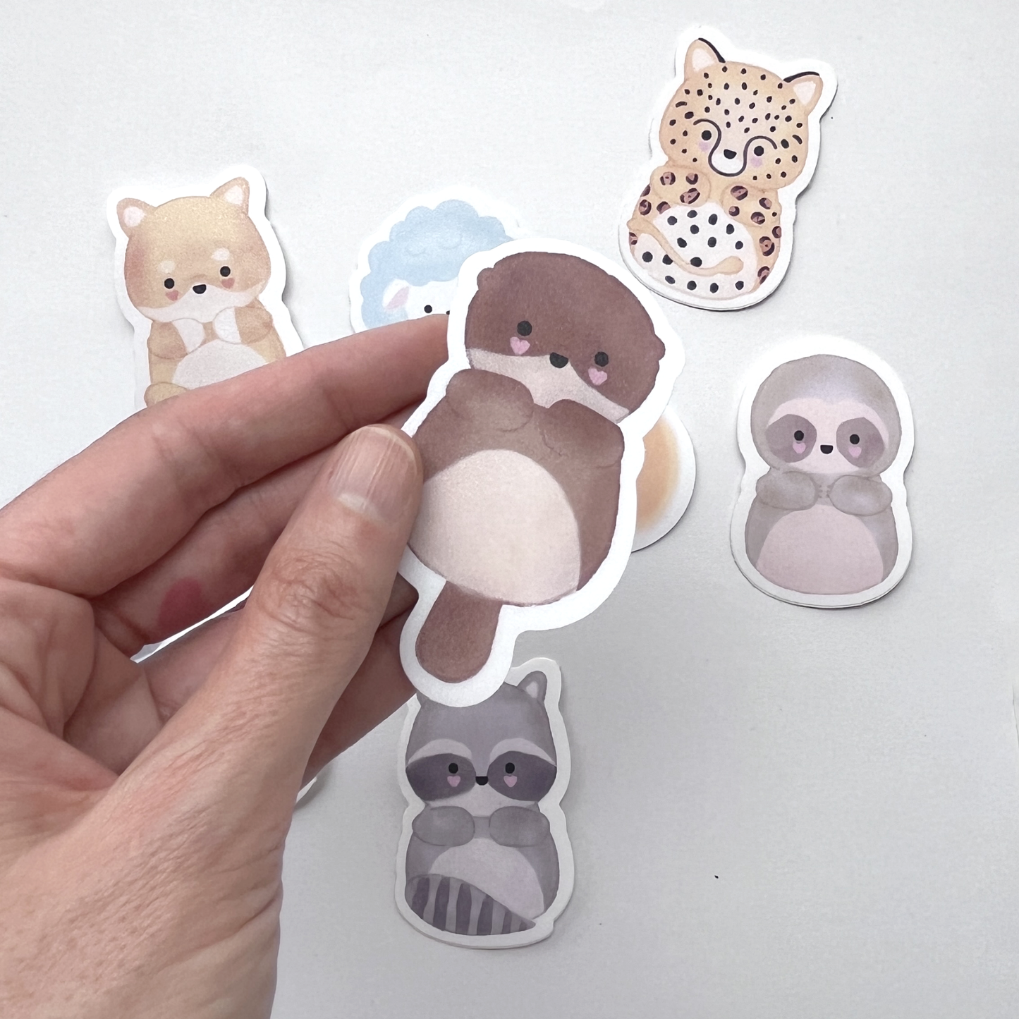 pack de stickers sorpresa
