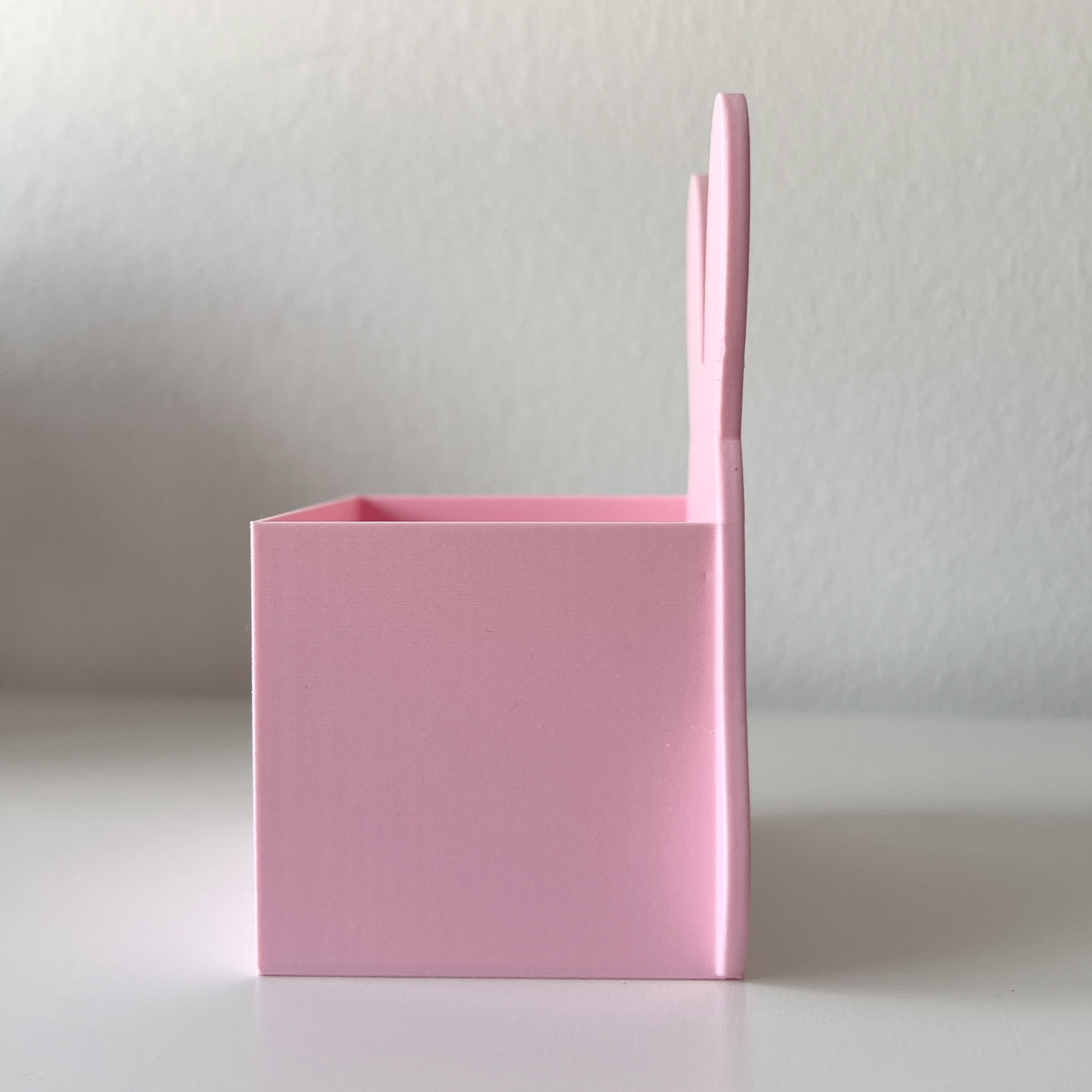 organizador coneja