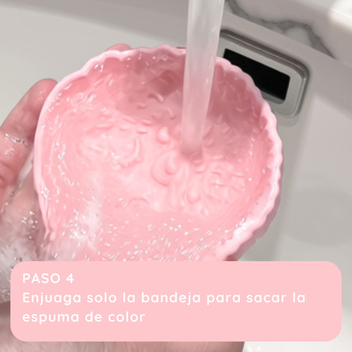 bandejita limpia brochas bina (puercoespín)