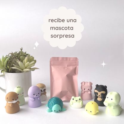 mascota sorpresa