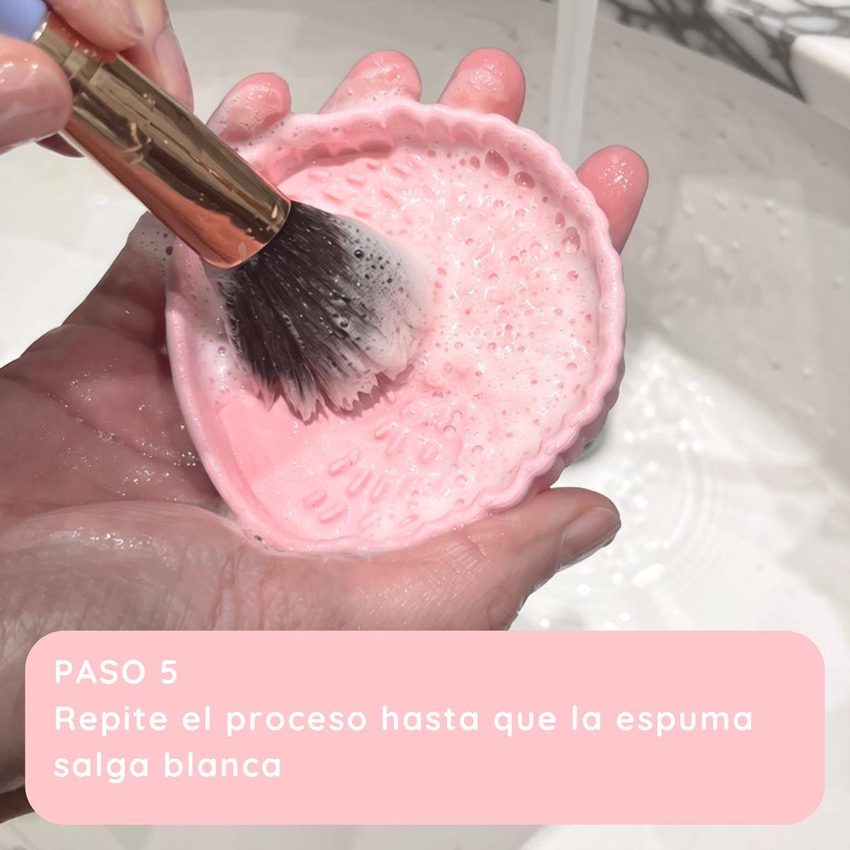 bandejita limpia brochas bina (puercoespín)
