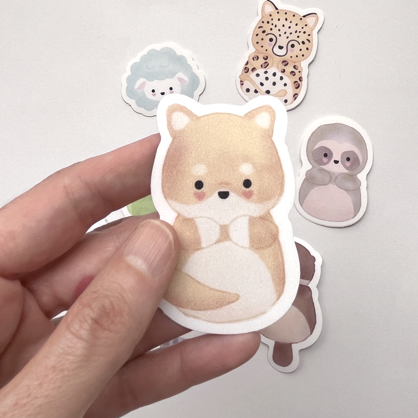 pack de stickers sorpresa