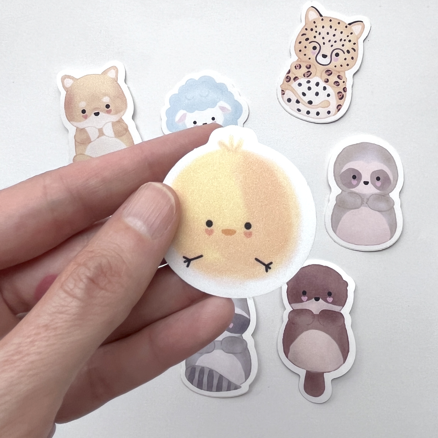 pack de stickers sorpresa
