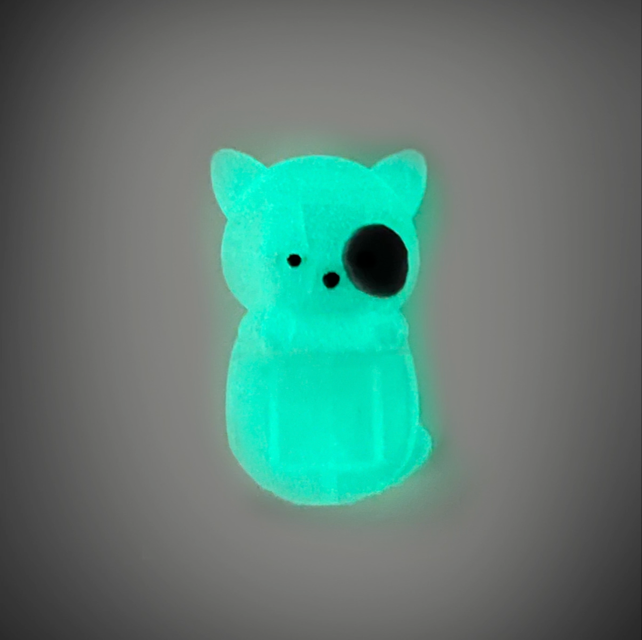peeper gato